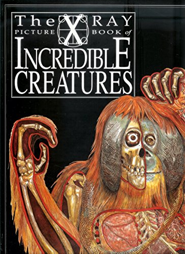 Beispielbild fr The X-Ray Picture Book of Incredible Creatures zum Verkauf von ThriftBooks-Atlanta