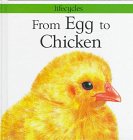 Beispielbild fr From Egg to Chicken zum Verkauf von Better World Books