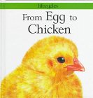 Stock image for From Egg to Chicken for sale by Better World Books