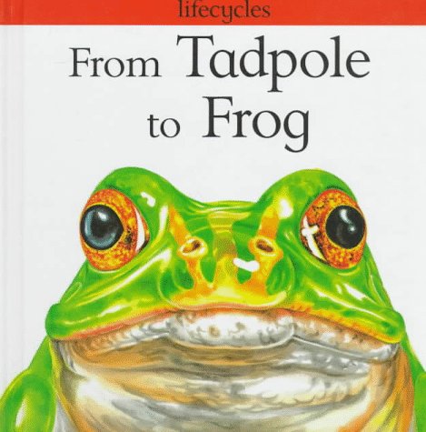 Beispielbild fr From Tadpole to Frog zum Verkauf von Better World Books