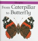 Beispielbild fr From Caterpillar to Butterfly zum Verkauf von ThriftBooks-Atlanta