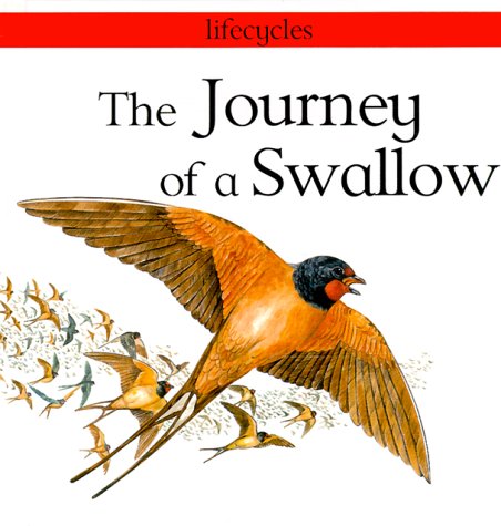 Beispielbild fr The Journey of a Swallow zum Verkauf von Better World Books