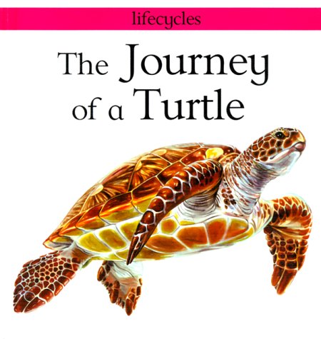 Stock image for The Journey of a Turtle (Lifecycles) for sale by Irish Booksellers
