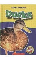 Beispielbild fr Ducks (Farm Animals, Blastoff! Readers Level 1) zum Verkauf von Wonder Book