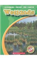 Imagen de archivo de Wetlands a la venta por Better World Books