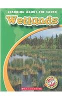 Stock image for Wetlands for sale by Better World Books