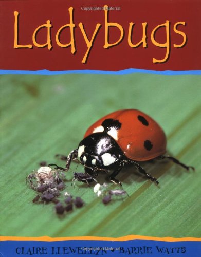 Imagen de archivo de Ladybugs (Minibeasts) a la venta por HPB-Diamond