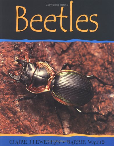 Beetles (Minibeasts) (9780531148297) by Llewellyn, Claire; Watts, Barrie