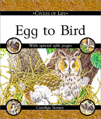 Egg to Bird (Cycles of Life) (9780531148402) by Scrace, Carolyn