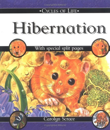 Hibernation (Cycles of Life) (9780531148426) by Scrace, Carolyn; Scarce, Carolyn; Franklin, Carolyn