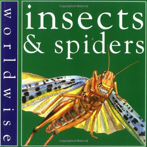Beispielbild fr Insects and Spiders (Worldwise) zum Verkauf von HPB Inc.