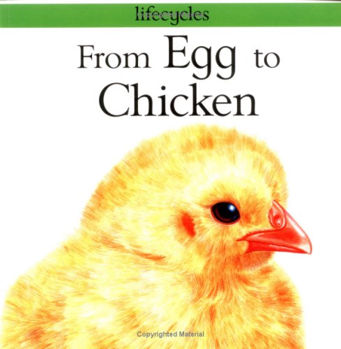 Beispielbild fr From Egg to Chicken (Lifecycles) zum Verkauf von HPB Inc.