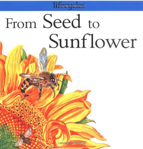Imagen de archivo de From Seed to Sunflower a la venta por Better World Books