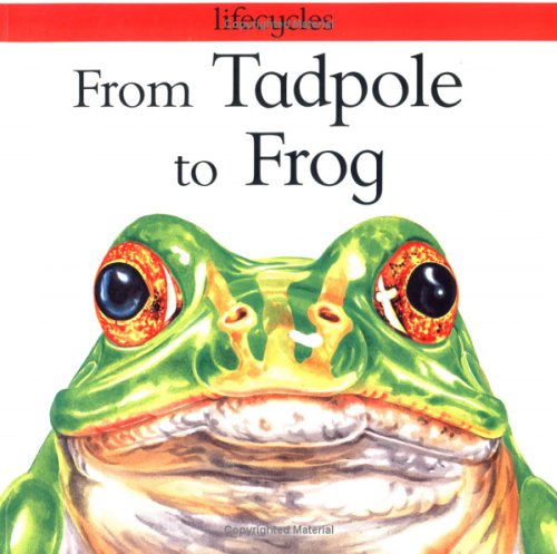9780531153352: From Tadpole to Frog (Lifecycles)