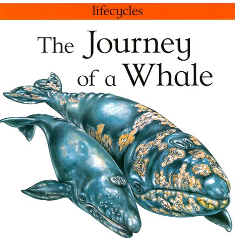 The Journey of a Whale (Lifecycles) (9780531154205) by Scrace, Carolyn; Salariya, David