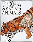 Beispielbild fr The X-Ray Picture Book of Amazing Animals zum Verkauf von ThriftBooks-Dallas