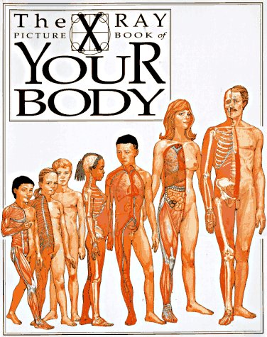 Stock image for Your Body: X Ray Picture Book (X-Ray Picture Books) for sale by SecondSale