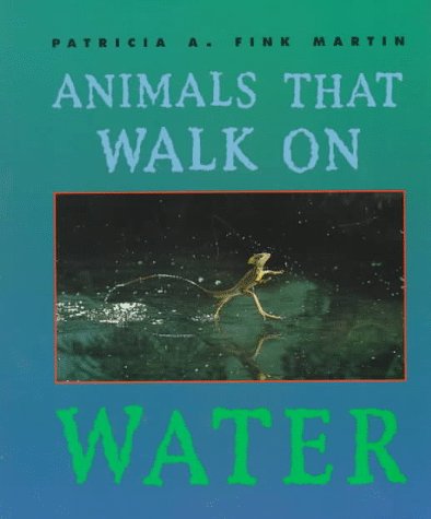 Beispielbild fr First Book: Animal the Walk on Water zum Verkauf von Better World Books