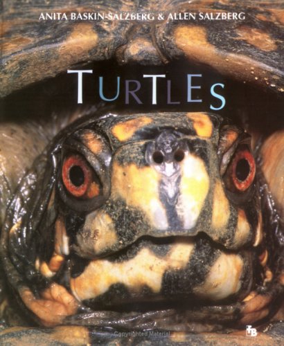 Beispielbild fr Turtles (First Books--Animals) zum Verkauf von M & M Books