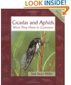 Beispielbild fr Cicadas and Aphids: What They Have in Common (Animals in Order Series) zum Verkauf von HPB Inc.