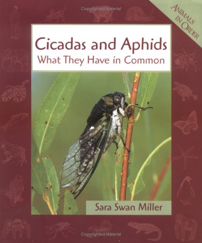 Stock image for Cicadas and Aphids: What They Have in Common (Animals in Order Series) for sale by HPB Inc.