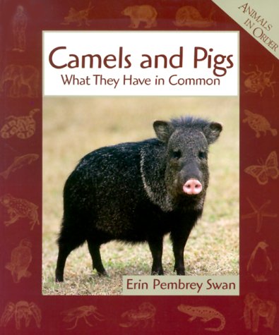 Imagen de archivo de Camels and Pigs : What They Have in Common a la venta por Better World Books