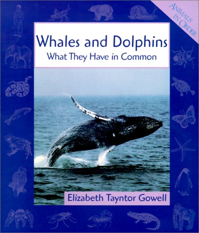 Imagen de archivo de Whales and Dolphins : What They Have in Common a la venta por Better World Books: West