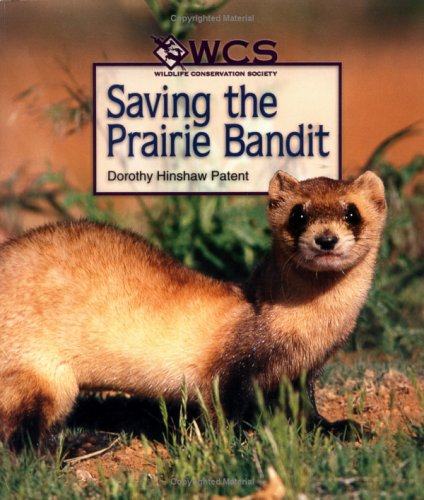 Stock image for Saving the Prairie Bandit (Wildlife Conservation Society Books) for sale by Dailey Ranch Books