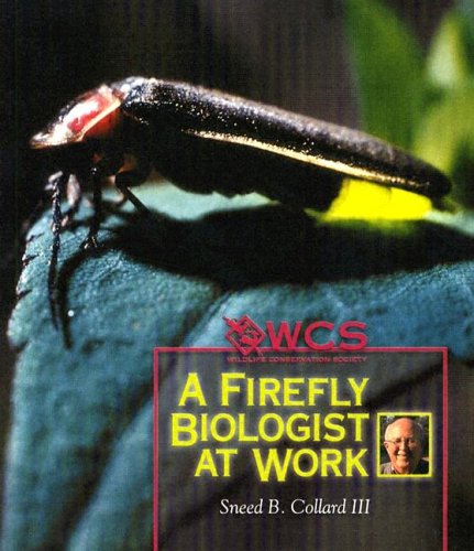 Imagen de archivo de A Firefly Biologist at Work (Wildlife Conservation Society Books) a la venta por Isle of Books
