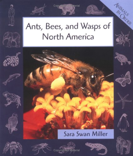 Stock image for Ants, Bees, and Wasps of North America for sale by Better World Books: West