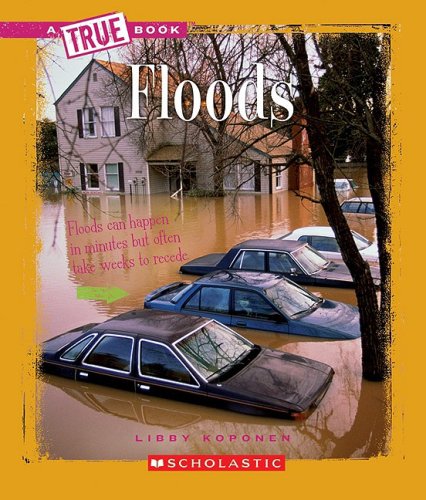 Imagen de archivo de Floods a la venta por Better World Books