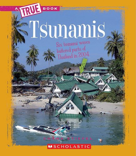 Stock image for Tsunamis for sale by Better World Books