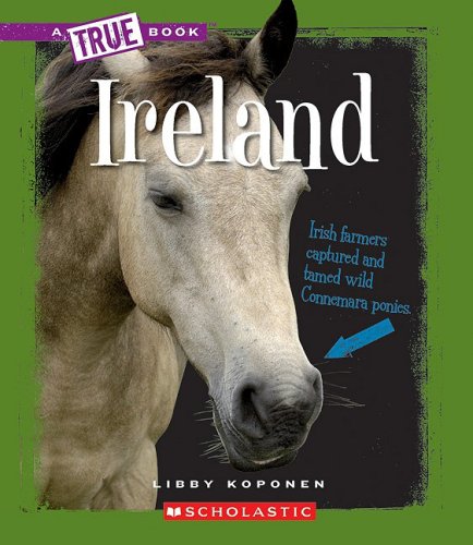 9780531168929: Ireland (A True Book)