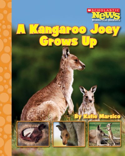 Imagen de archivo de A Kangaroo Joey Grows Up a la venta por Better World Books: West