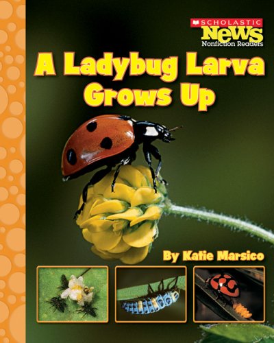 9780531174784: A Ladybug Larva Grows Up