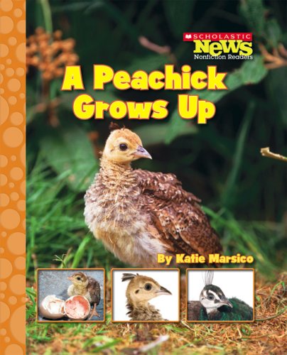 9780531174807: A Peachick Grows Up (Scholastic News Nonfiction Readers)