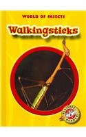 Beispielbild fr Walkingsticks zum Verkauf von Better World Books