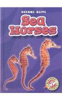 Stock image for Sea Horses for sale by ThriftBooks-Dallas