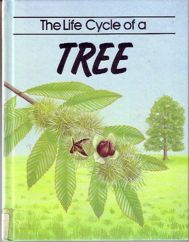 Stock image for The Life Cycle of a Tree: John Williams; Illustrated by Jackie Harland for sale by ThriftBooks-Dallas