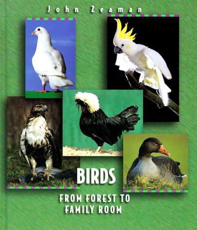 Beispielbild fr Birds : From Forest to Family Room zum Verkauf von Better World Books