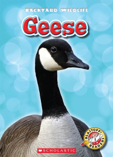 Beispielbild fr Geese zum Verkauf von ThriftBooks-Atlanta