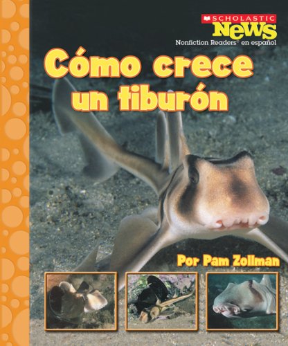 Stock image for Como Crece Un Tiburon = A Shark Pup Grows Up for sale by ThriftBooks-Atlanta