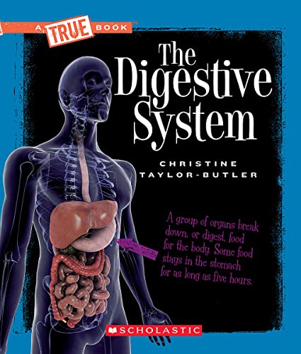 Beispielbild fr The Digestive System (a True Book: Health and the Human Body) zum Verkauf von ThriftBooks-Atlanta