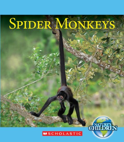 Beispielbild fr Spider Monkeys zum Verkauf von Better World Books