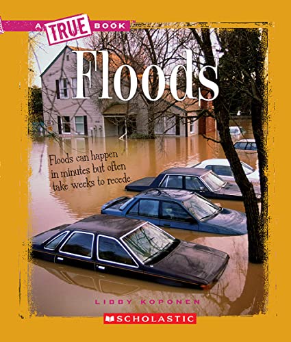 Imagen de archivo de Floods (A True Book: Earth Science) a la venta por SecondSale