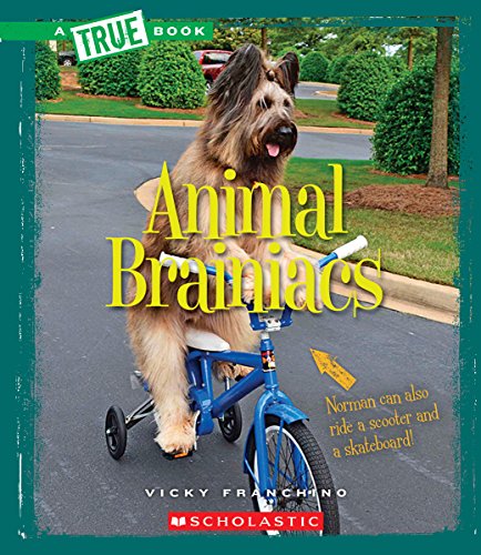 Beispielbild fr Animal Brainiacs (a True Book: Amazing Animals) (Library Edition) zum Verkauf von Better World Books