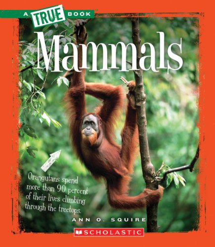 Beispielbild fr Mammals zum Verkauf von Better World Books