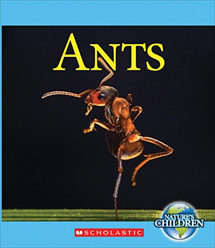 Beispielbild fr Ants zum Verkauf von Better World Books