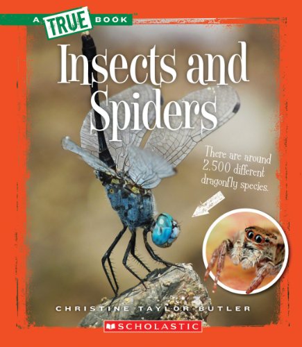 Beispielbild fr Insects and Spiders (A True Book: Animal Kingdom) zum Verkauf von SecondSale