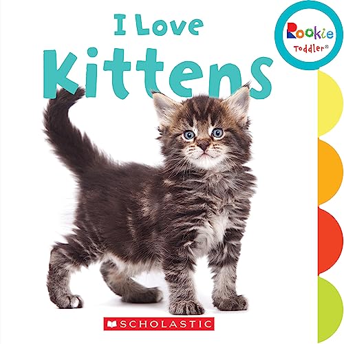 Imagen de archivo de I Love Kittens a la venta por Better World Books